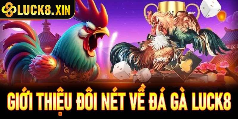 Giới thiệu đôi nét về đá gà trực tiếp Luck8