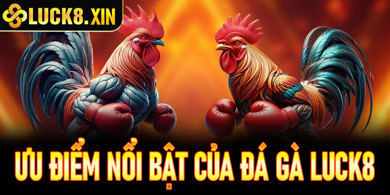 Ưu điểm nổi bật nhất của sảnh đá gà trực tiếp Luck8